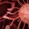 Thumbnail of related posts 070