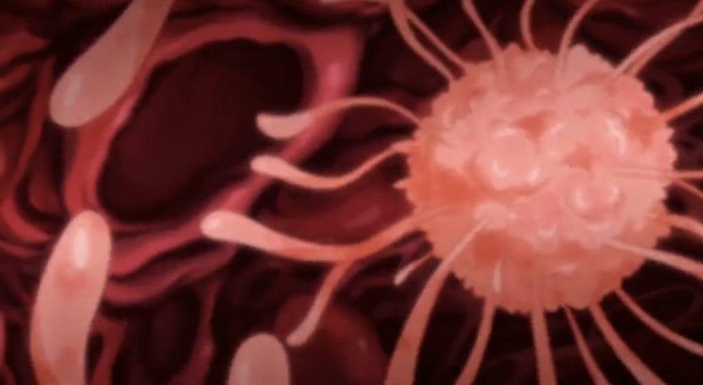 Thumbnail of post image 007